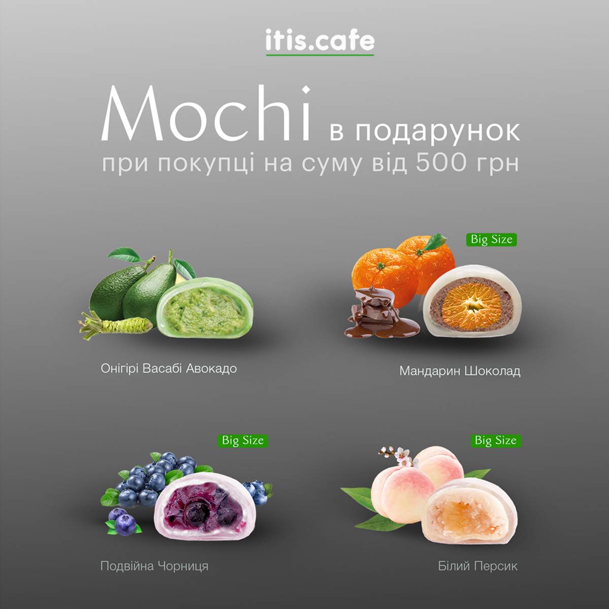 Get Mochi as a gift